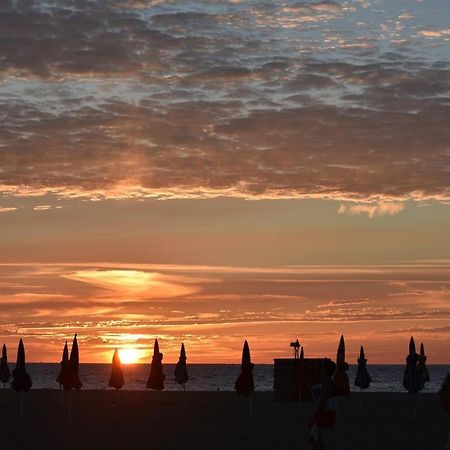 Les Parasols De Trouville Lägenhet Exteriör bild